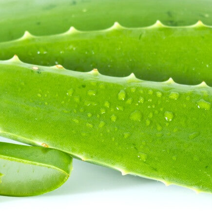 Aloe Vera Gel: un imprescindible natural para tu piel y cabello